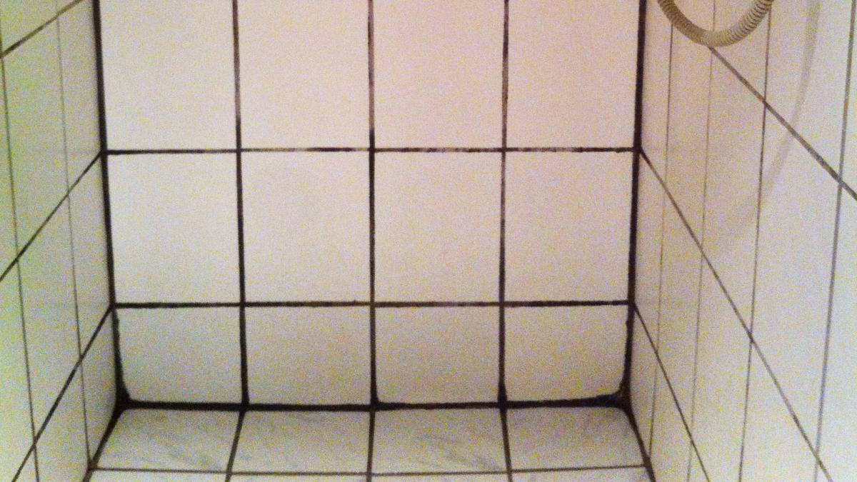 skimmelsvamp fuger vindue skimmelsvamp fuger vindue